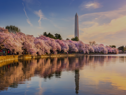 Monument Parking Partners With Propark Mobility to Enhance Washington, D.C. Parking