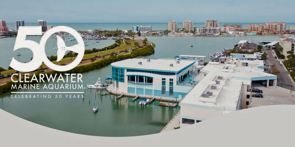 Universal Parking awarded Clearwater Marine Aquarium parking management operations