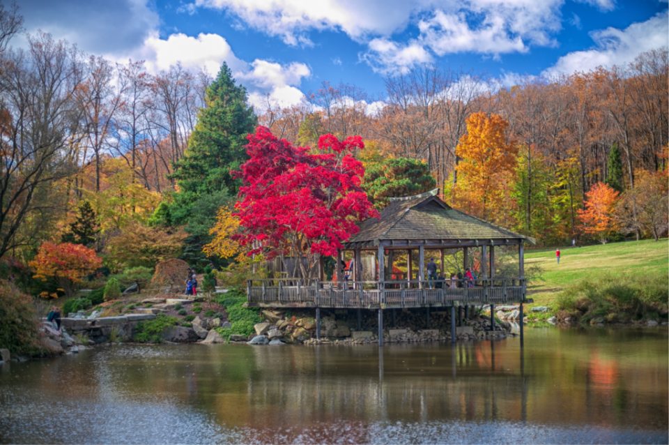 Navigating Bethesda’s Best Fall Activities with Parking Tips